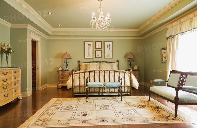 Luxurious master bedroom