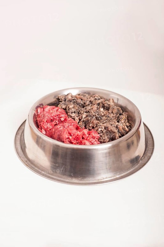 Dog bowl with two kinds of raw meat