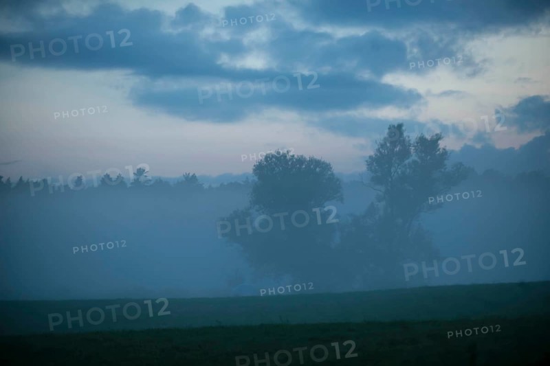 Morning mist over a meadow