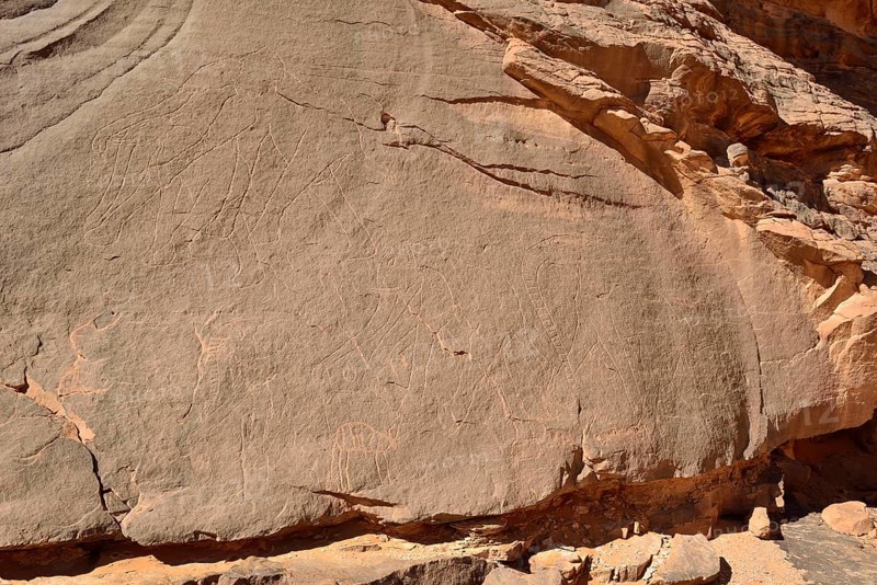 Rock engraving of an Elephant