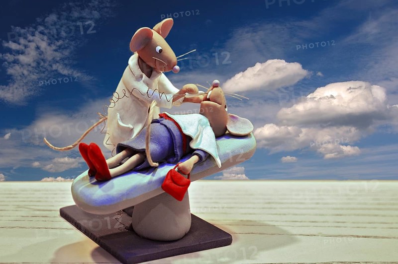 Mice dolls as a dentist and a patient