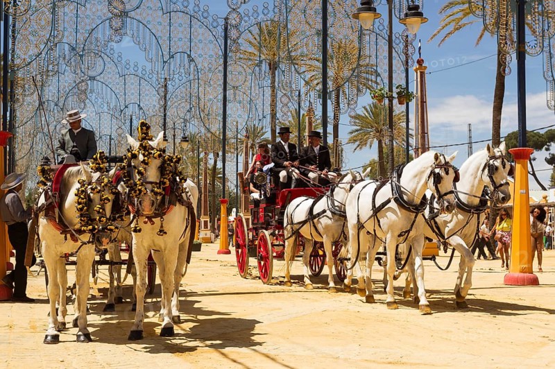 Decorated horses and dressed up coachmen at the Feria del Caballo Horse Fair