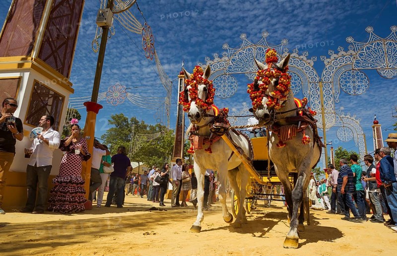 Decorated horses at the Feria del Caballo Horse Fair