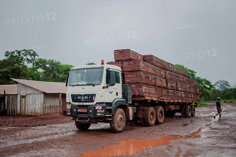 Tropical timber on a truck