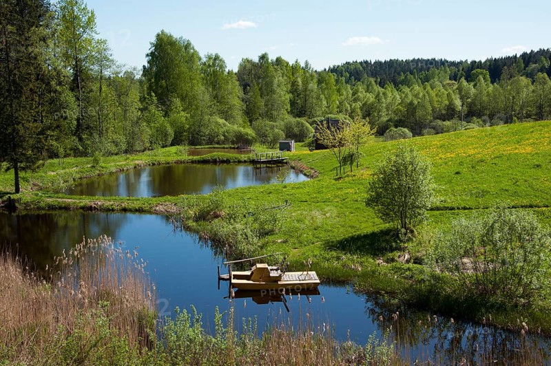 Landscape with ponds