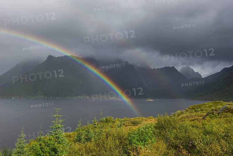 View from a lookout towards mountains and a fjord
