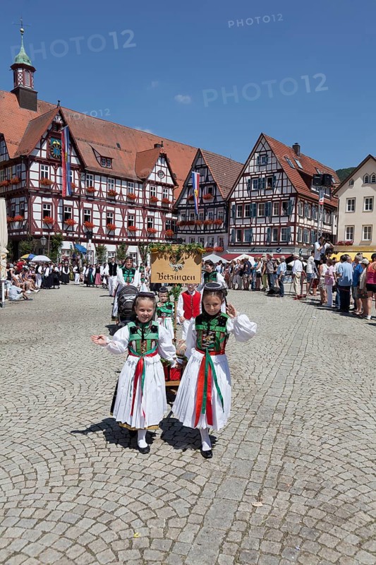 Historical parade