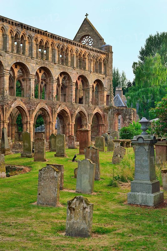 The ruins of Jedburgh Abbey