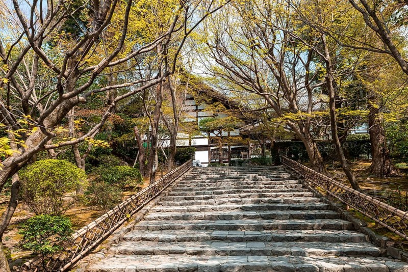 Stairs to Ryoanji Temple Kori