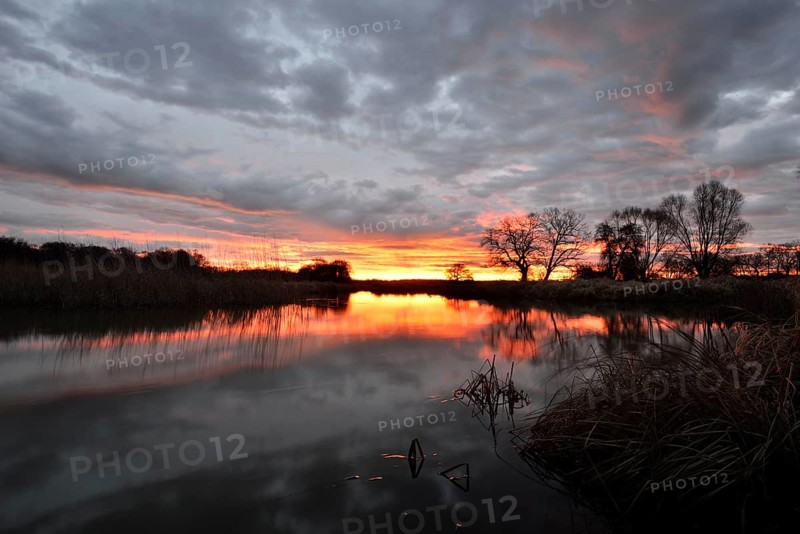 Sunrise over the Leiner See lake in the Middle Elbe Biosphere Reserve