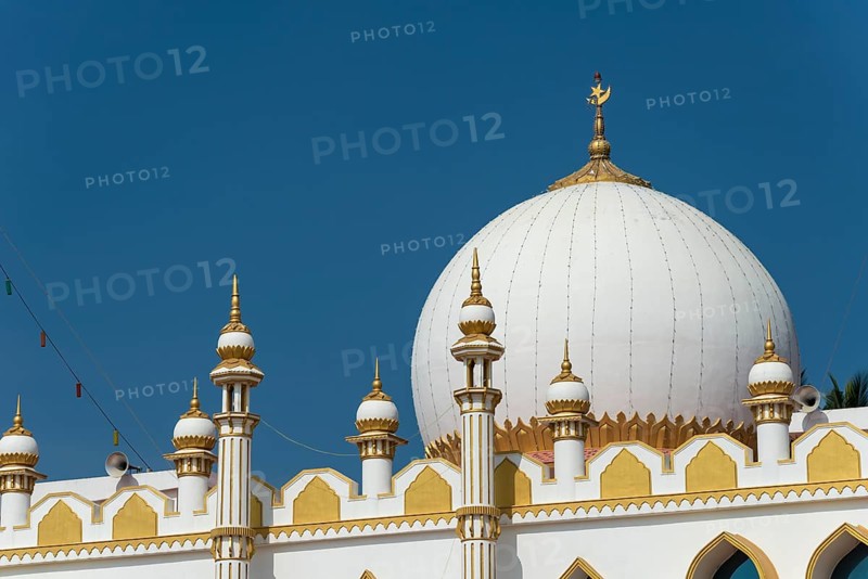 Mohijedin Palli mosque