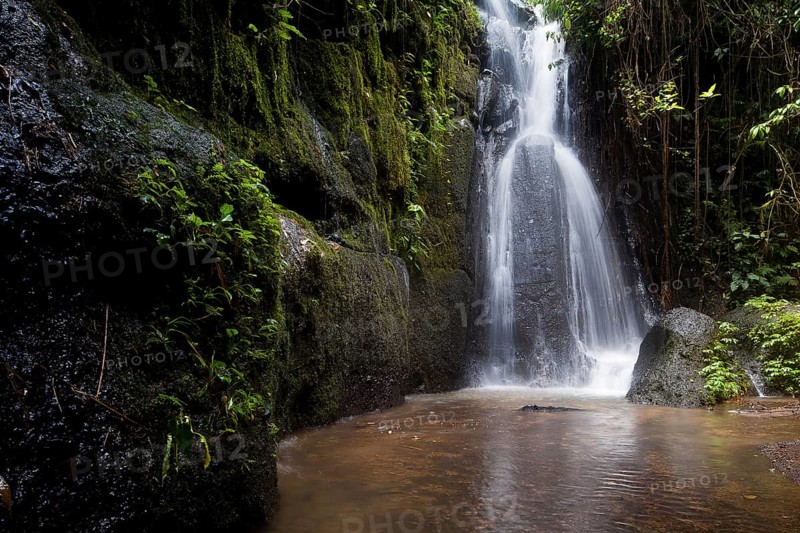Waterfall in the rainforest