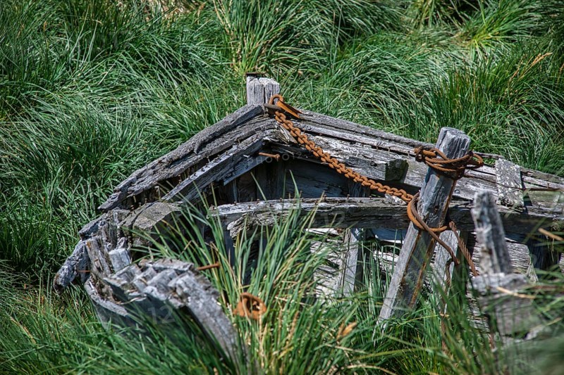 A decaying wooden boat of the whalers