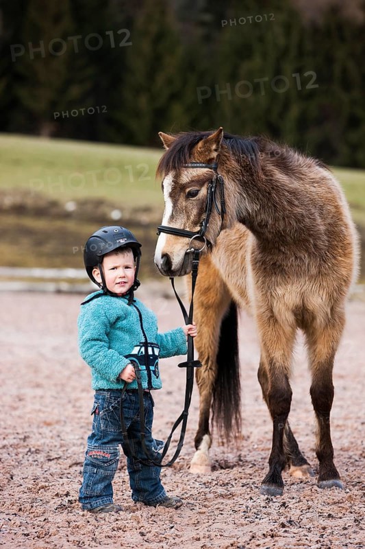 Young child wearing a riding helmet holding a pony