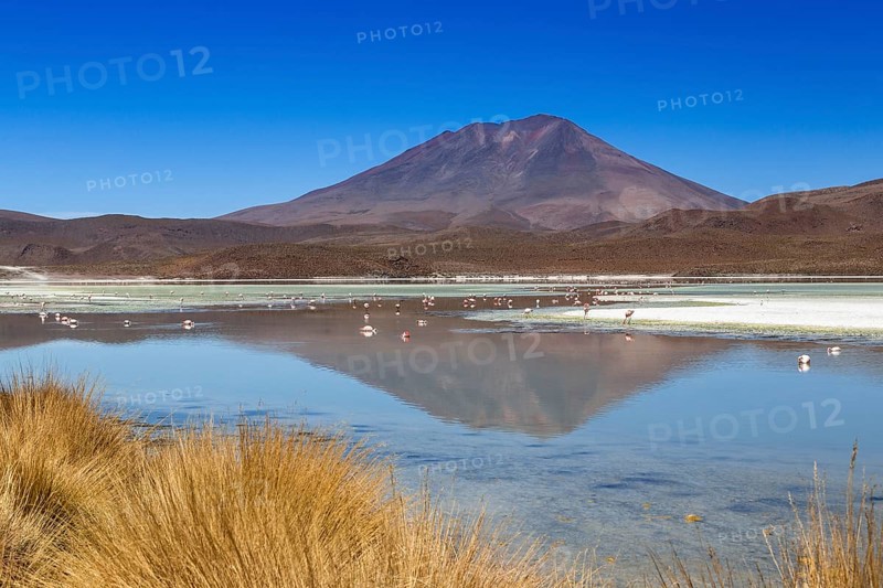 The lake Laguna Hedionda