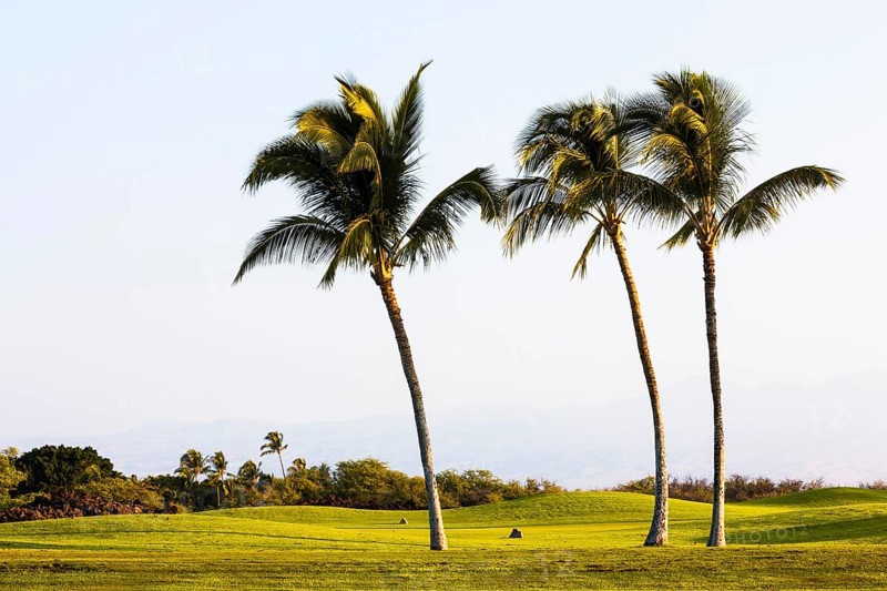 Mauna Lani Golf Course