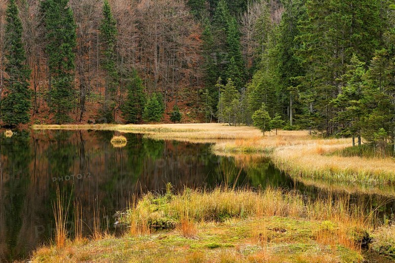 Autumn in the Naturschutzgebiet Kleiner Arbersee nature reserve