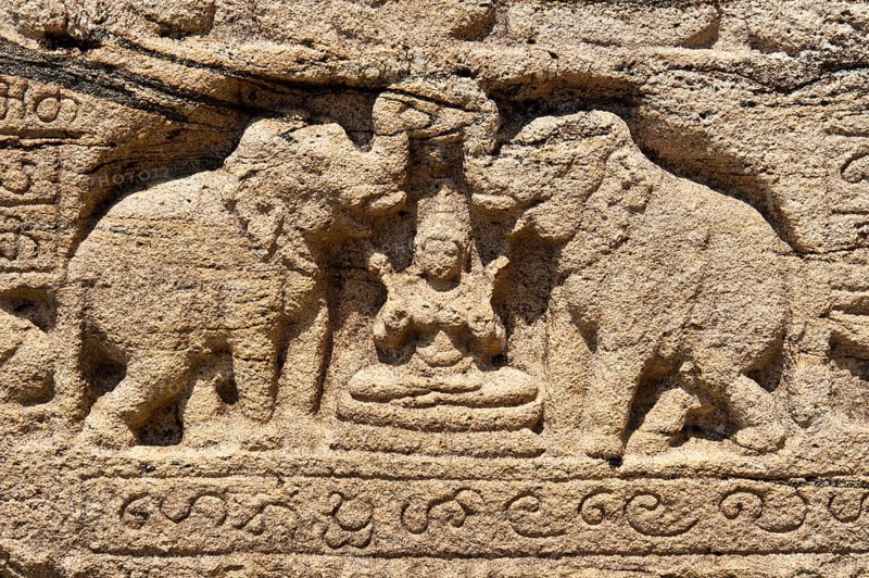 Elephant relief