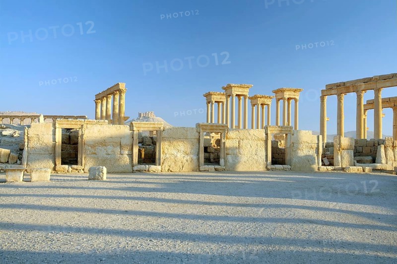 Ruins of the ancient city of Palmyra in the morning light
