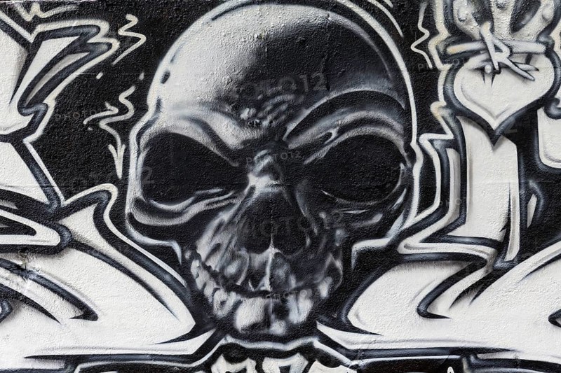Skull