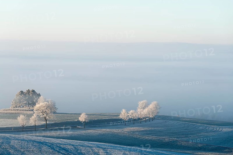 Country road with frost at Witthoh ridge