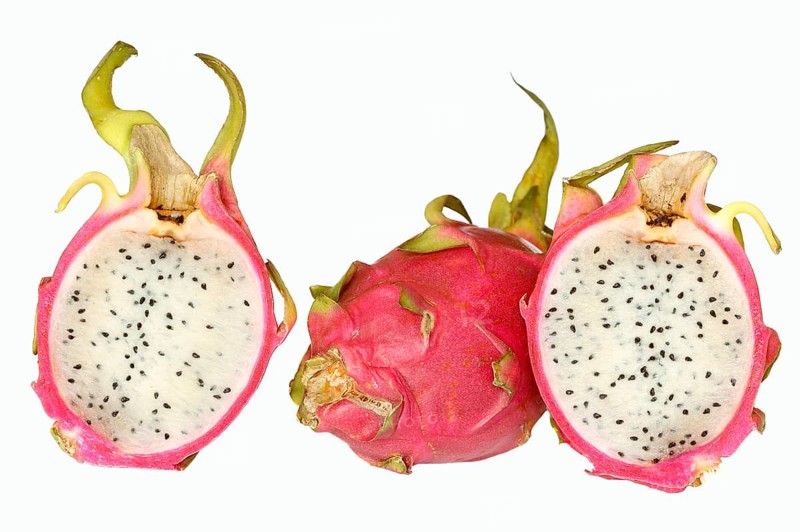 Pitahaya or Dragonfruit (Hylocereus undatus)