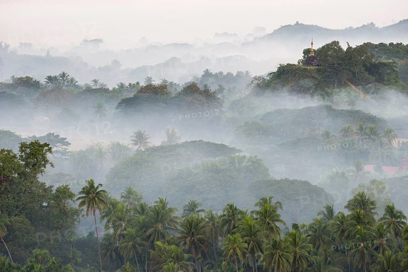 Pagodas and temples surrounded by trees