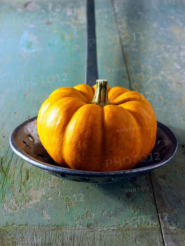 Mini pumpkin
