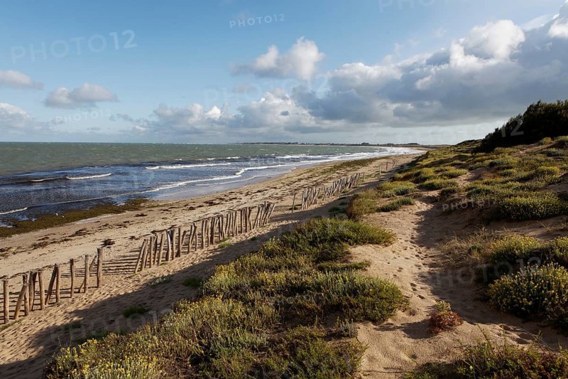 Coastal landscape
