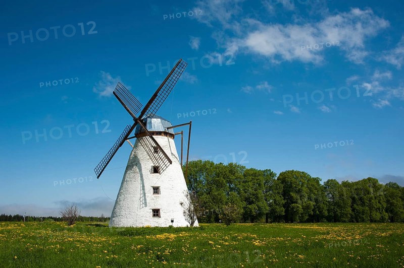 Windmill