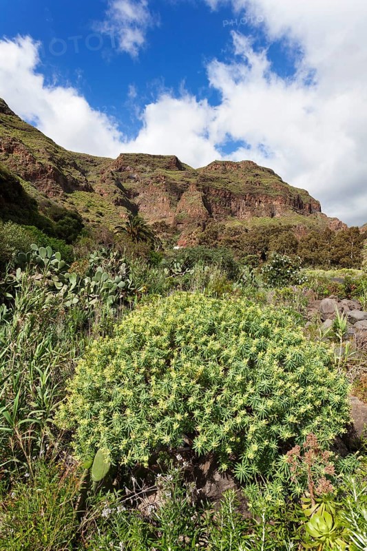 Barranco de Guayadeque gorge