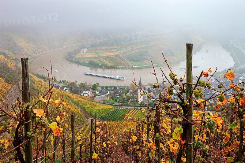 Moselle River loop in autumn