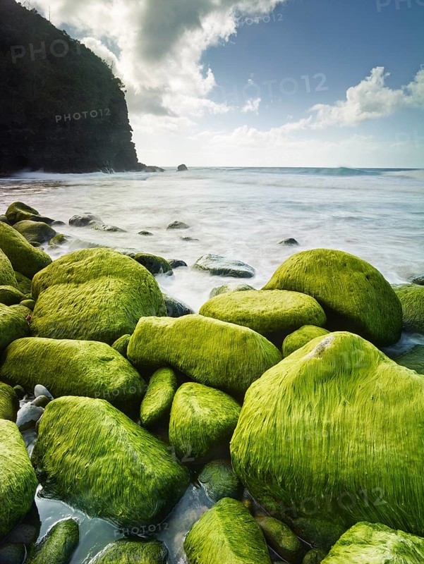 Rocks and seaweed on the beach of Napali Coast