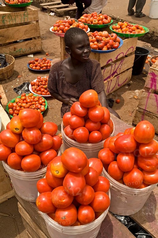 Child selling imported tomatoes