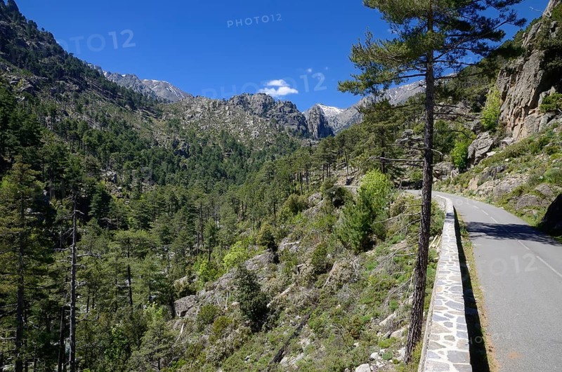 Narrow street in Restonica Valley