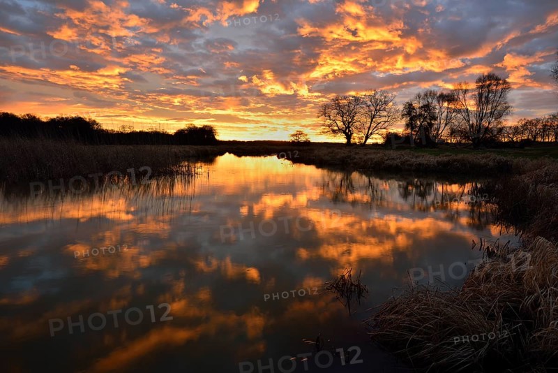 Sunrise over the Leiner See lake in the Middle Elbe Biosphere Reserve