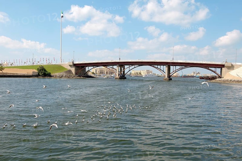 Bridge