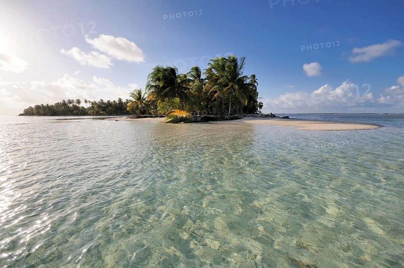 Tropical island with palm trees