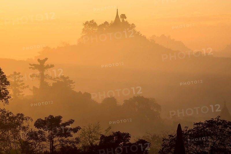 Pagoda surrounded by trees