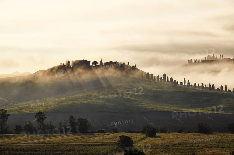 Fog in the valleys of the Crete Senesi
