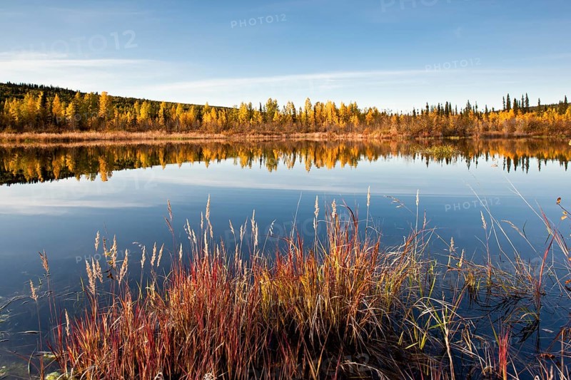 Small lake in autumn