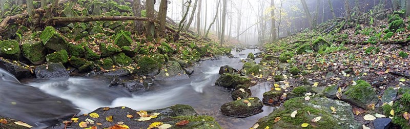 Stream with moss-covered basalt stones and fallen tree trunks