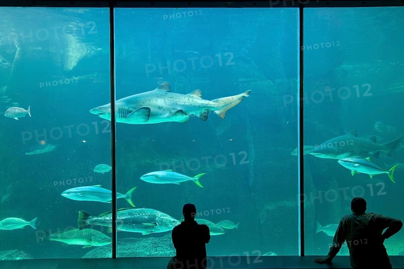 Two Oceans Aquarium