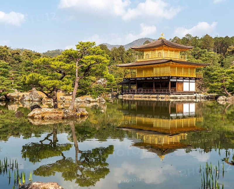 Golden Pavilion Temple