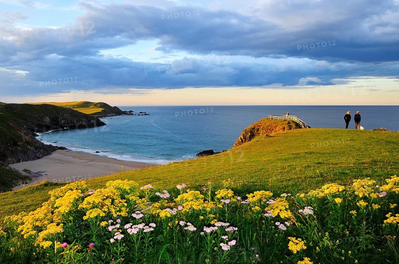 Meadow near the viewpoint overlooking the beach of Sango Bay