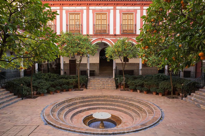 Bitter or Seville Orange trees (Citrus x aurantium) in the courtyard of the Hospital de los Venerables Sacerdotes