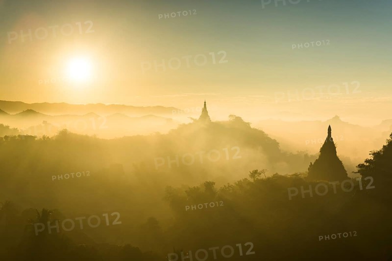 Pagodas surrounded by trees