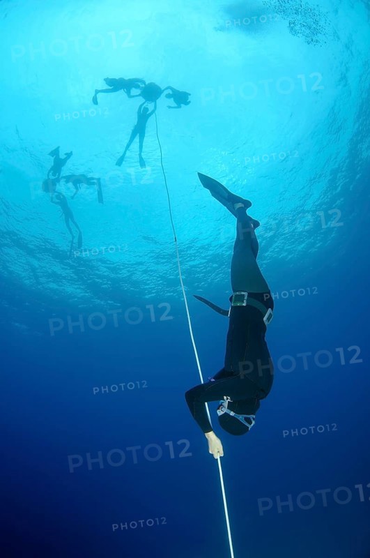 Freedivers