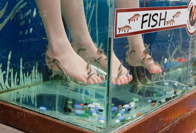 Garra Rufa fish therapy