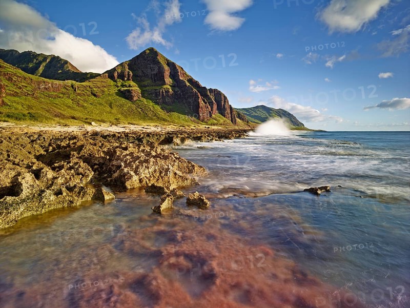 Coast at Ka'ena Point State Park
